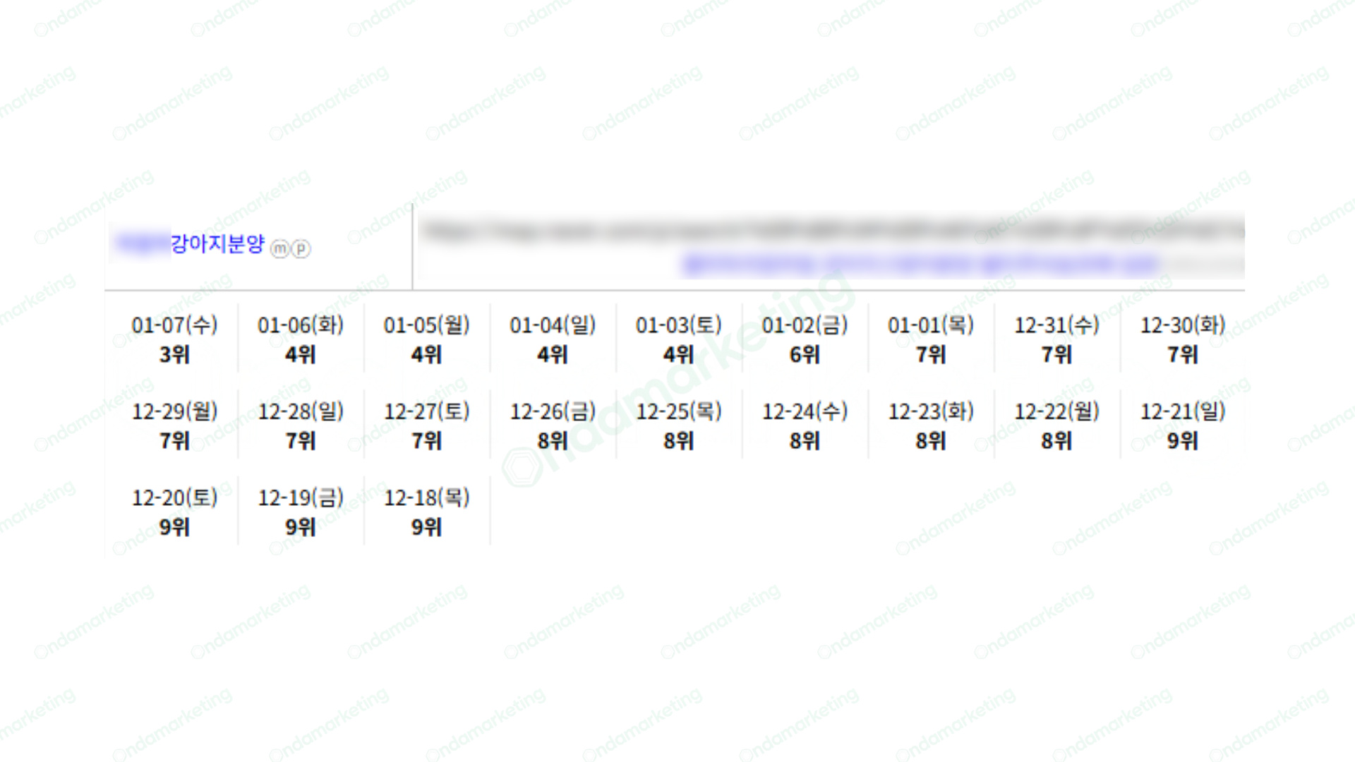 [N플레이스] 강아지분양