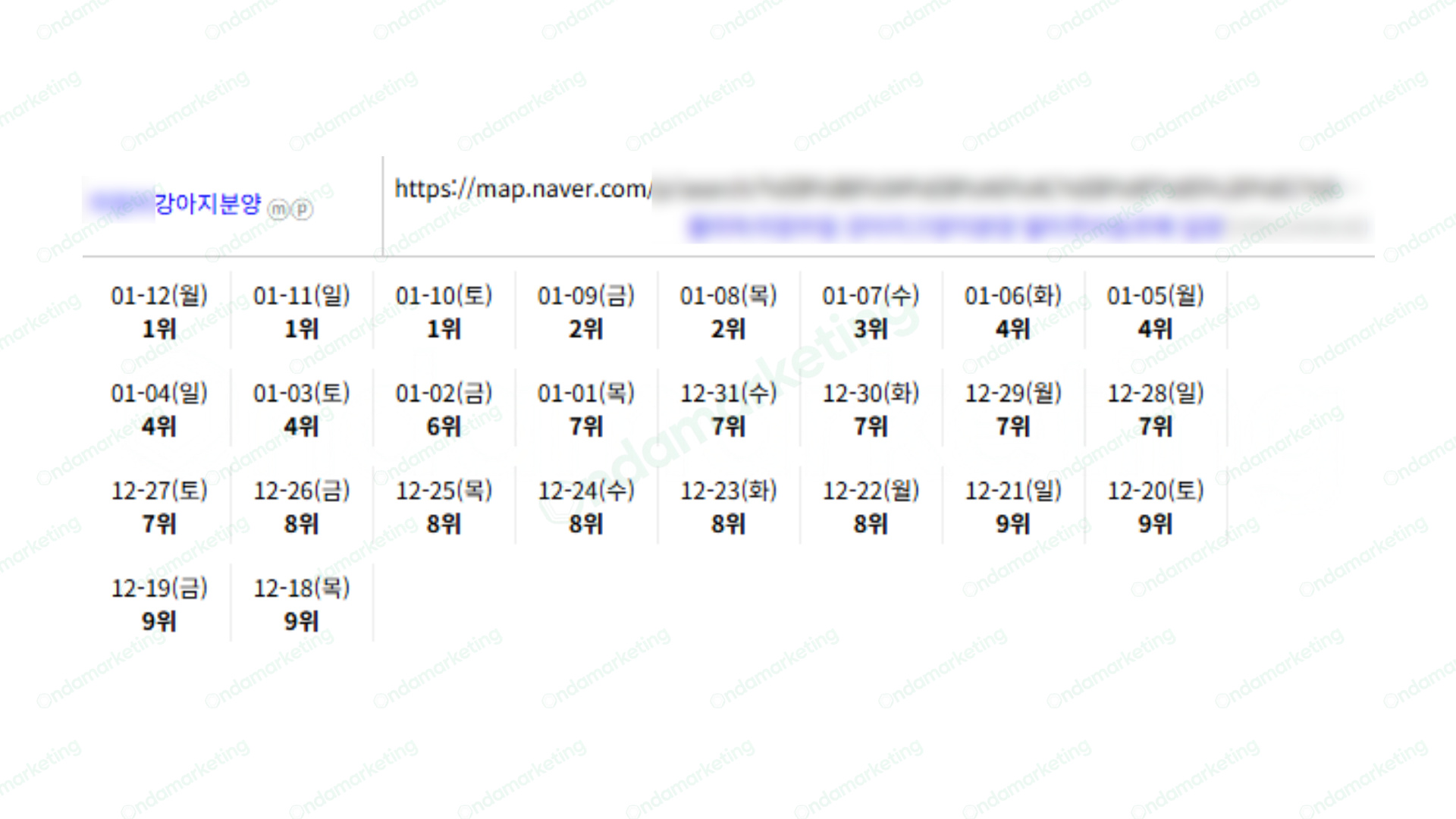 [N플레이스] 강아지분양
